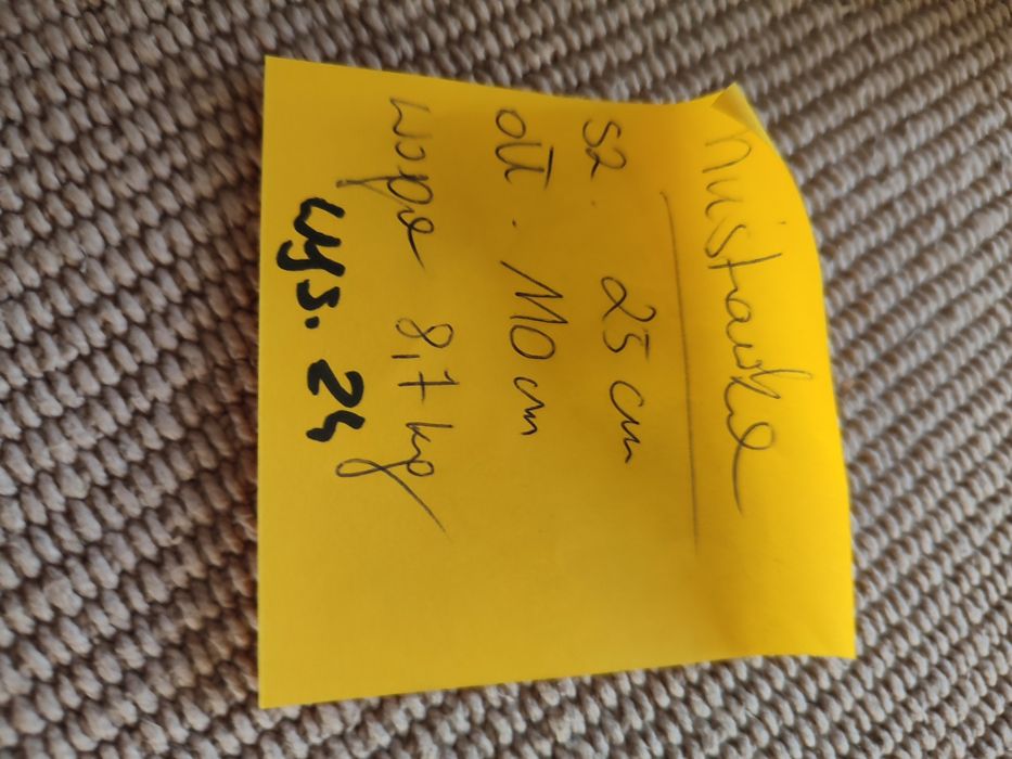 Huśtawka podwójna dziecięca