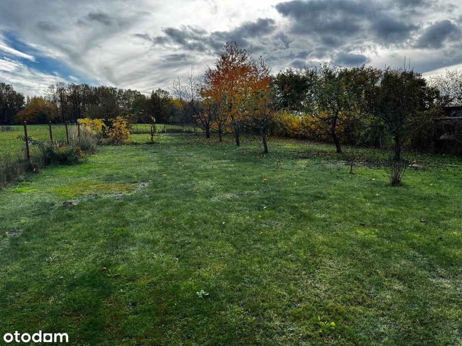 Sprzedaż działki! Brzóza, ul. Lipowa