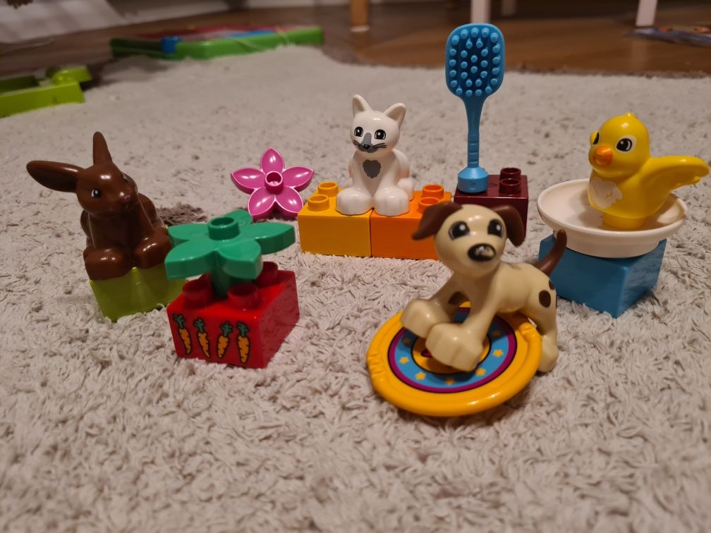 Lego Duplo 10838 zwierzątka domowe