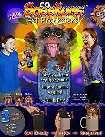 Mischief pet pranksters