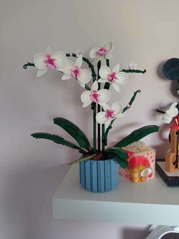 LEGO Botanicals kwiat ORCHIDEA dla dorosłych, dekoracja salonu, kwiaty