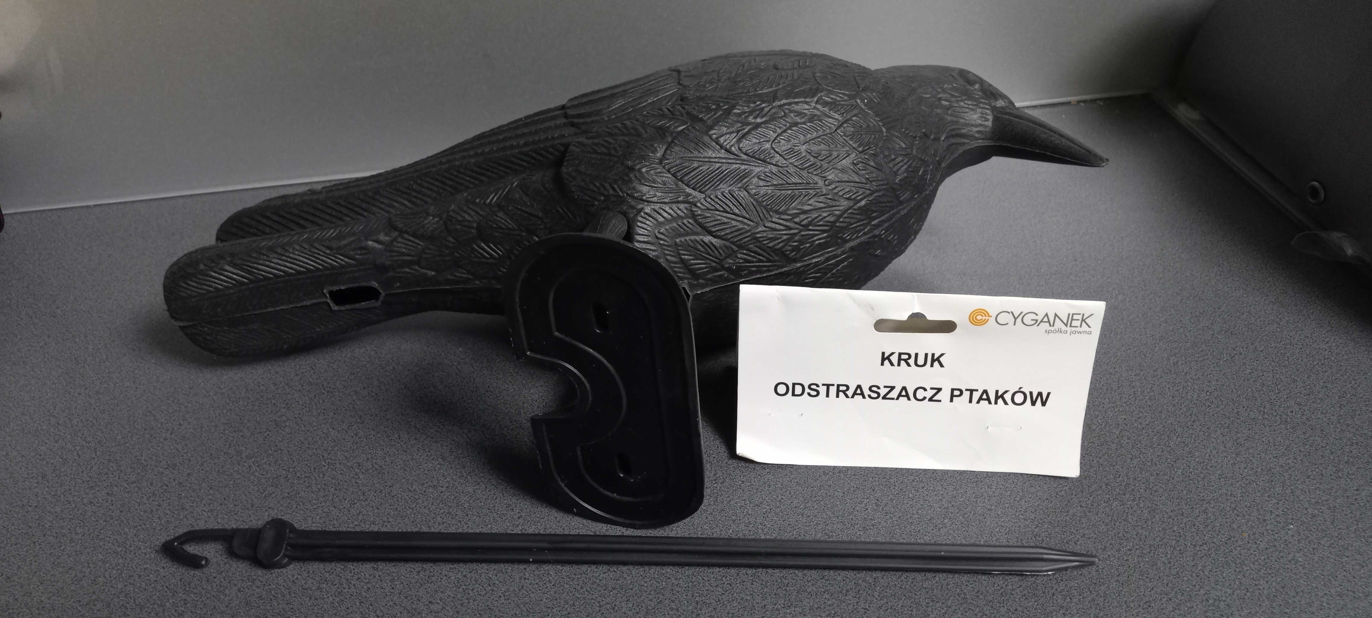 Kruk gawron odstraszacz ptaków