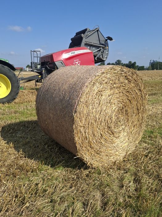 Sprzedam słome tegorocznym