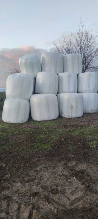 Baloty lucerna sianokiszonka