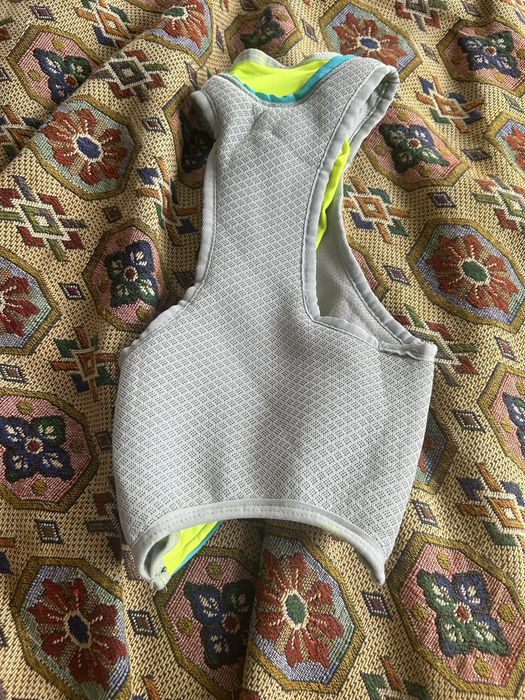 Ubranko, szelki dla psa