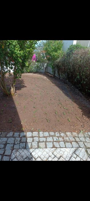 Disponível jardineiro particular para cuidar do seu espaço