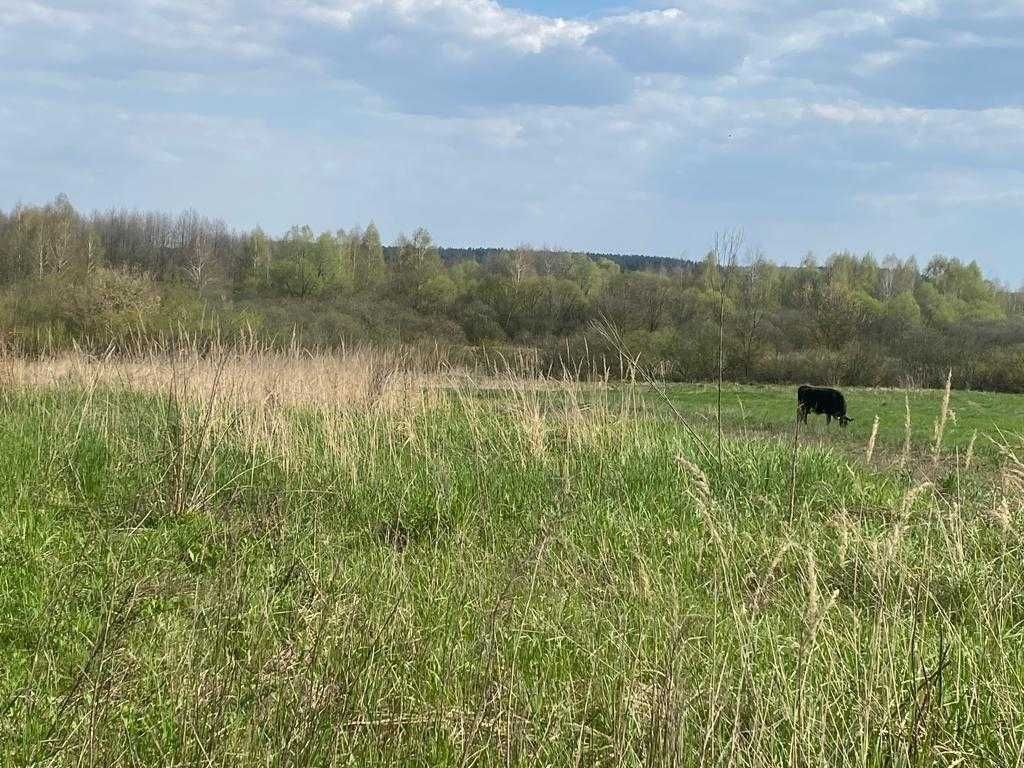 Продаж цегляного будинку дачі