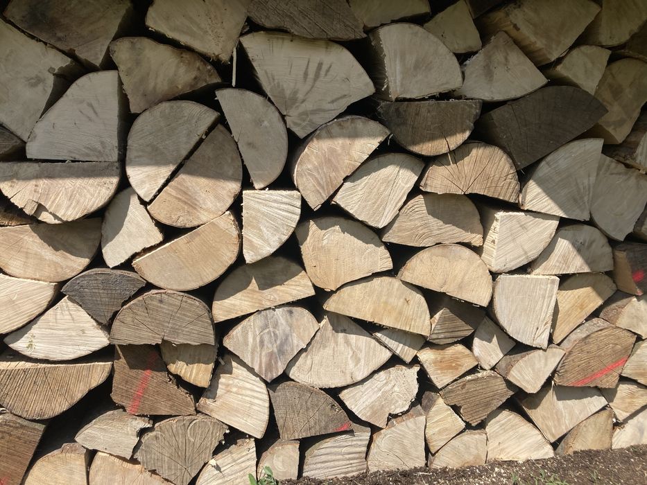 Buk/grab drewno kominkowe/opałowe