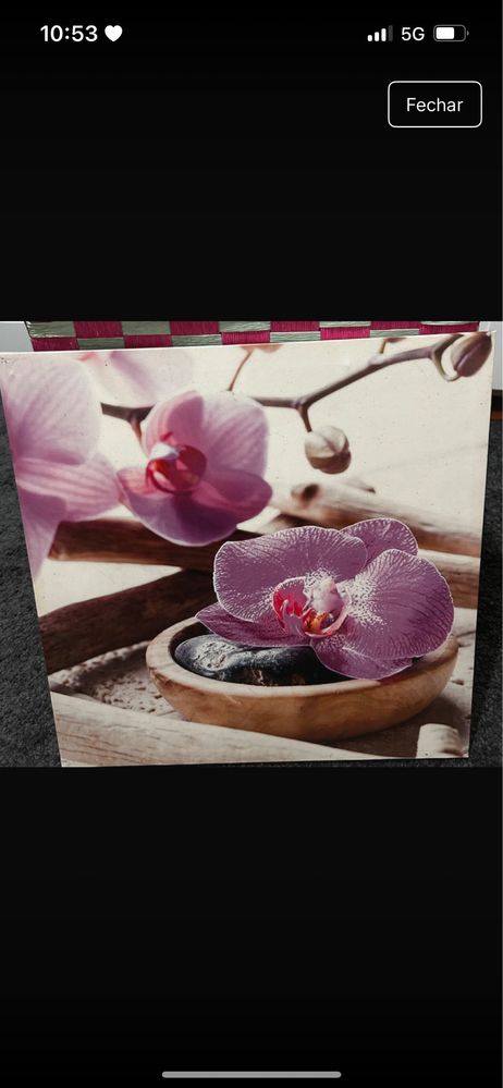 Quadro orquidea