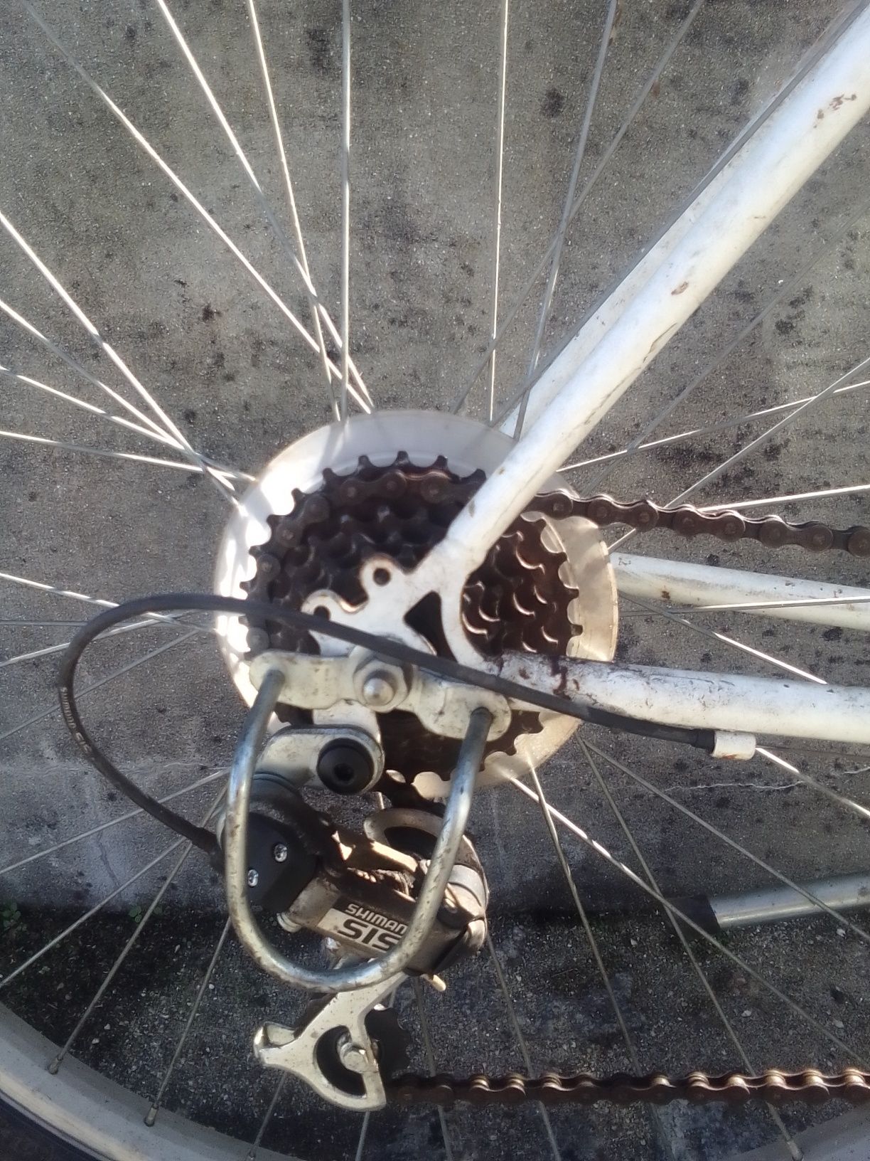Bicicleta monte.