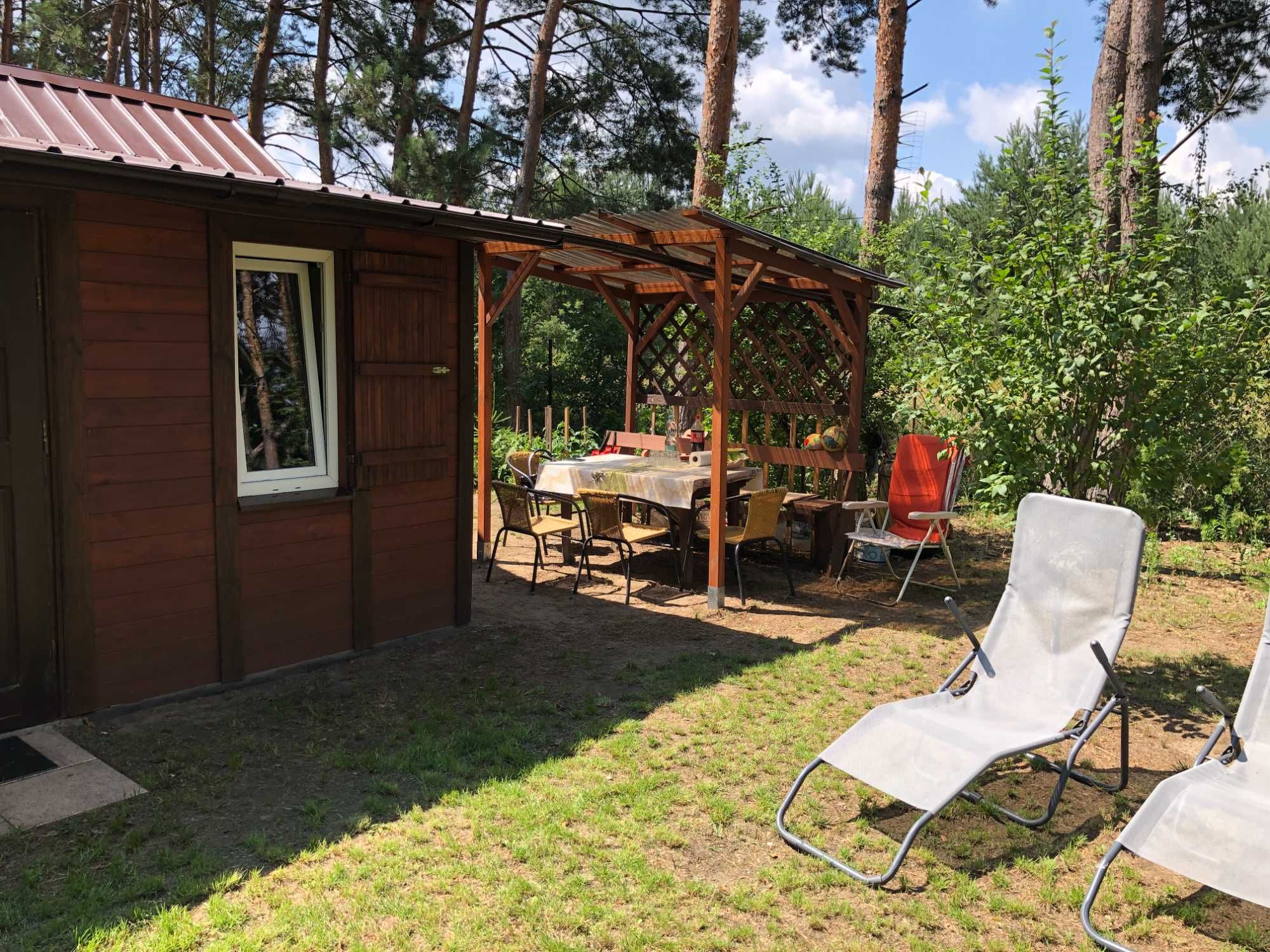 Działka leśna 3999 m2 z domkiem drewnianym z dużym potencjałem