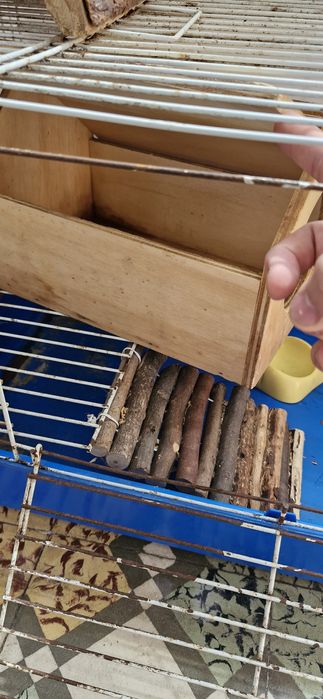 Gaiola de Roedor Completa