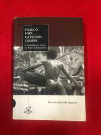 Pisando fora da própria sombra - Ricardo Rezende Figueira