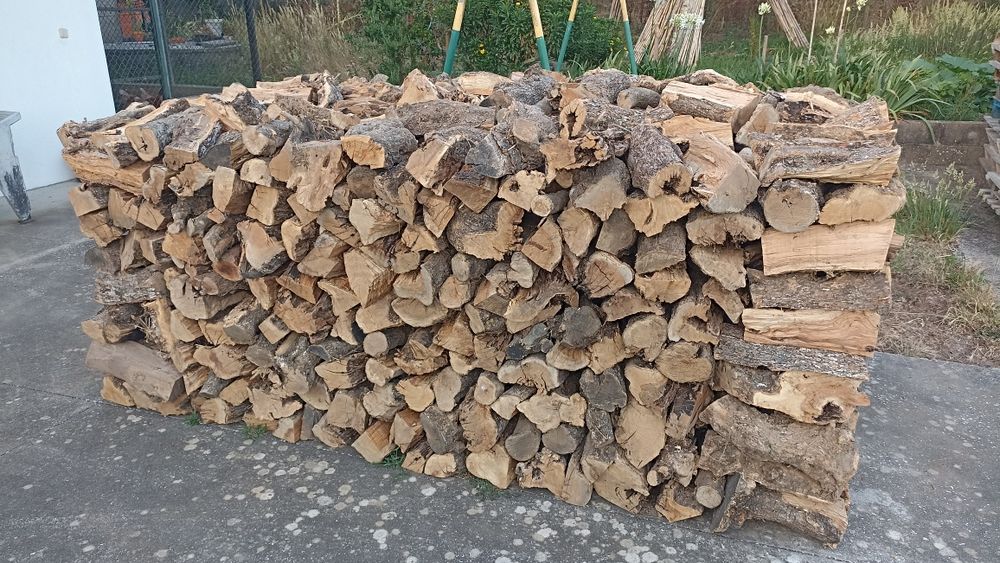 Lenha bem seca oliveira, eucalipto, etc