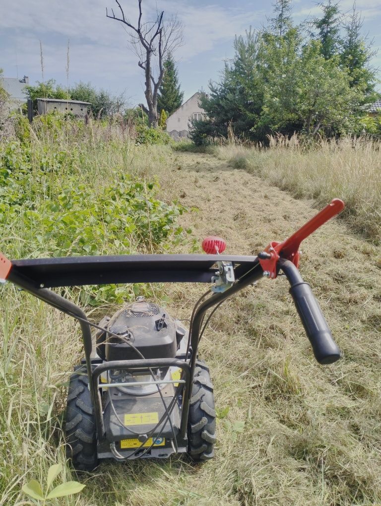 Koszenie karczowanie traw, mycie kostki brukowej, sprzątanie piwnic