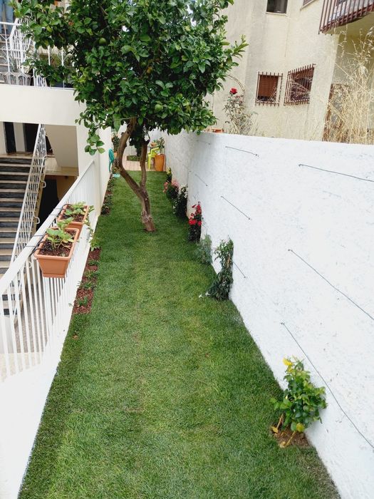 Serviços de limpeza de terreno e jardinagem.