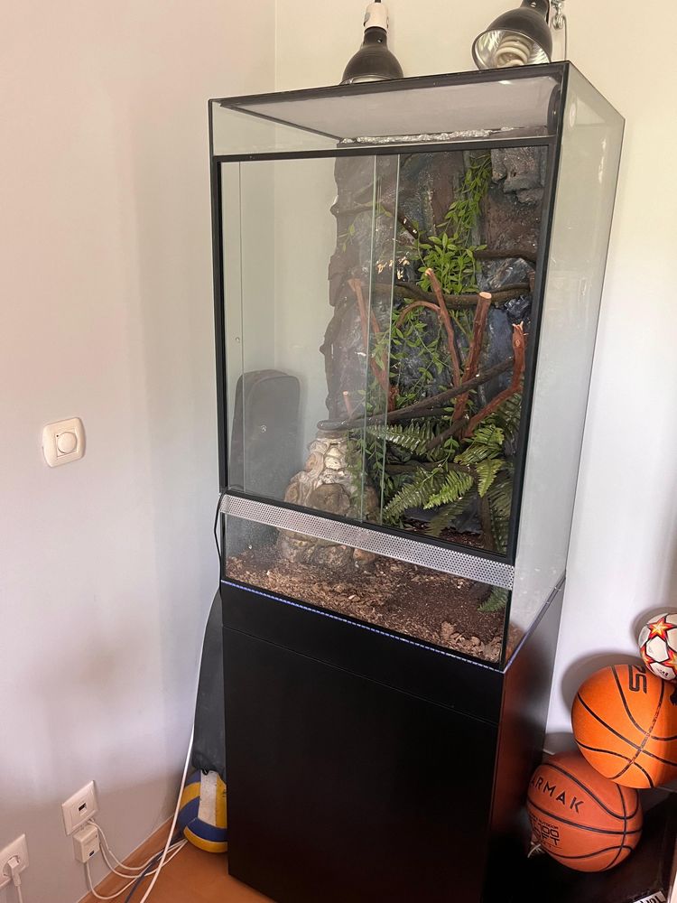 Terrário completo para reptil