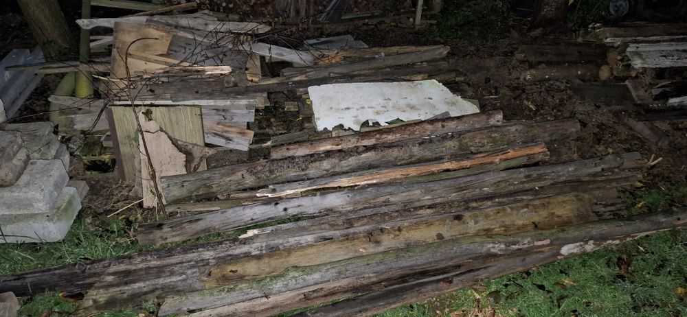 Drzewo opałowe mokre