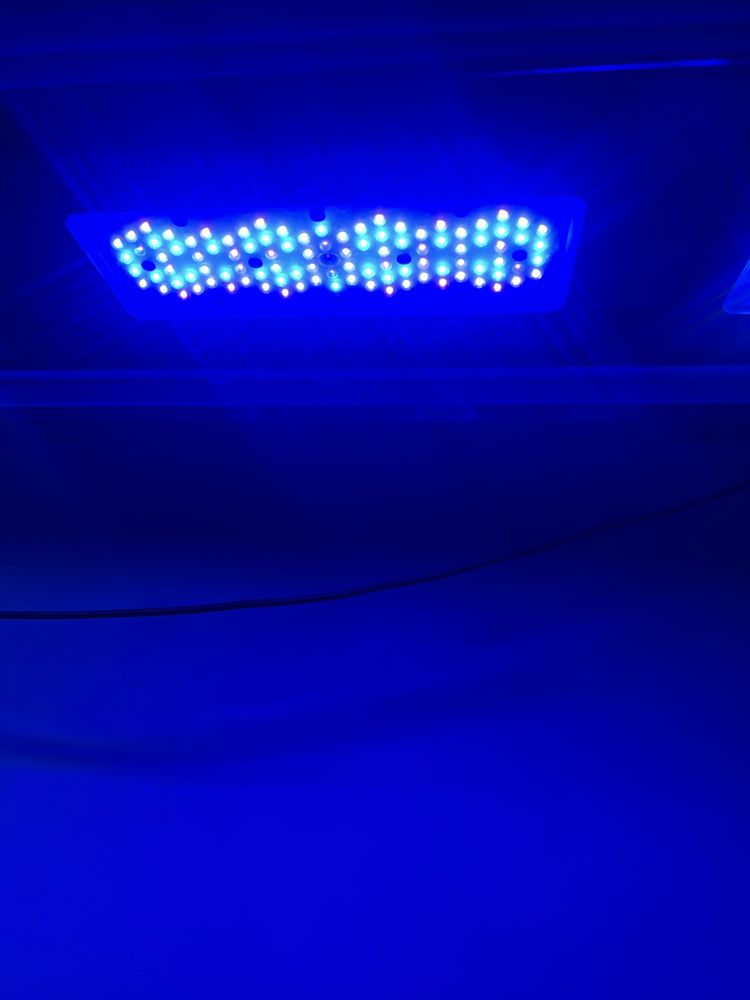 Venda Ecotech XR30 Blue