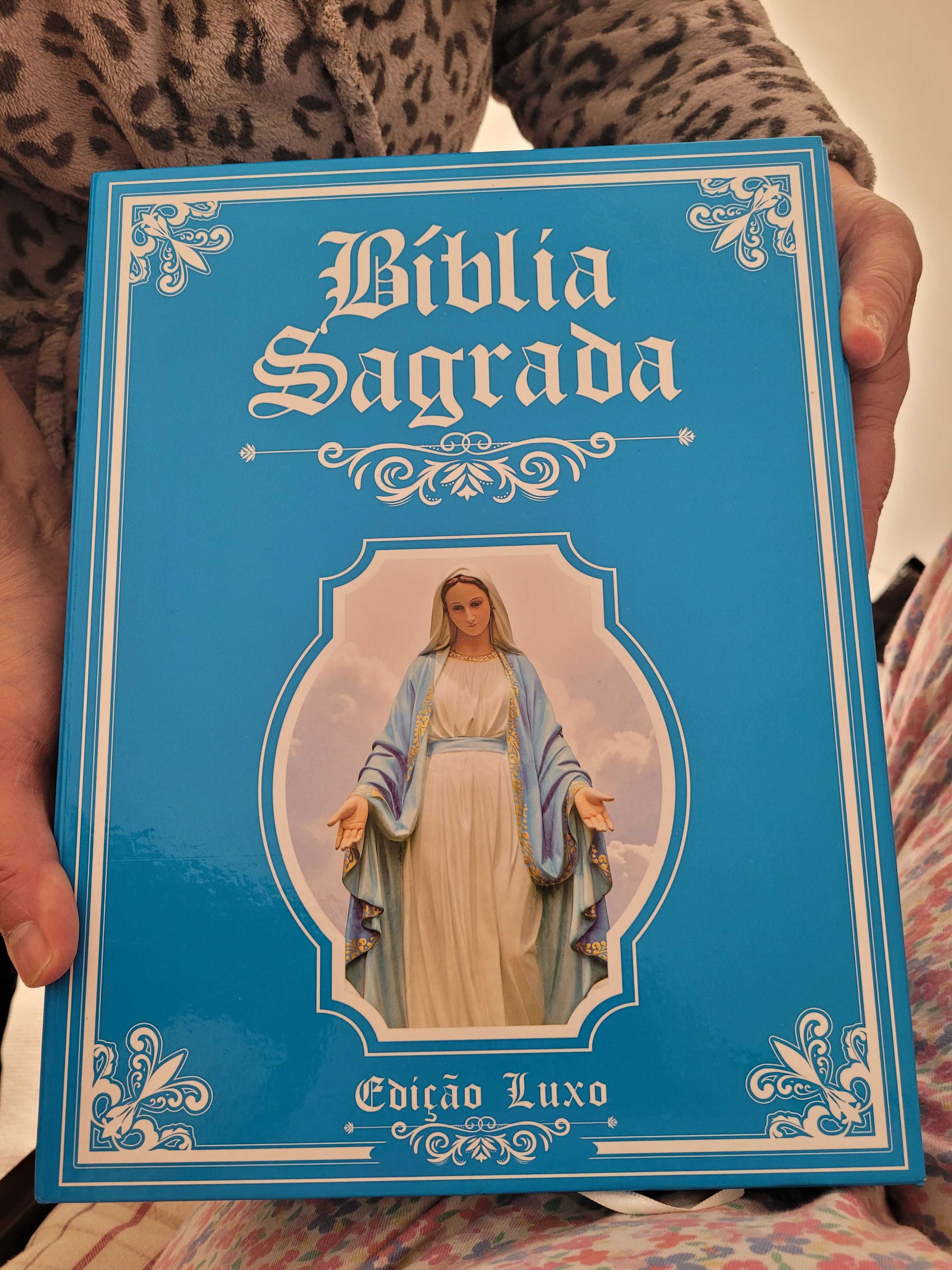 Biblia Sagrada (NOVA)