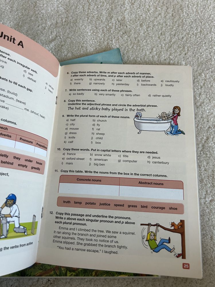 Collins primary focus / literacy f4
