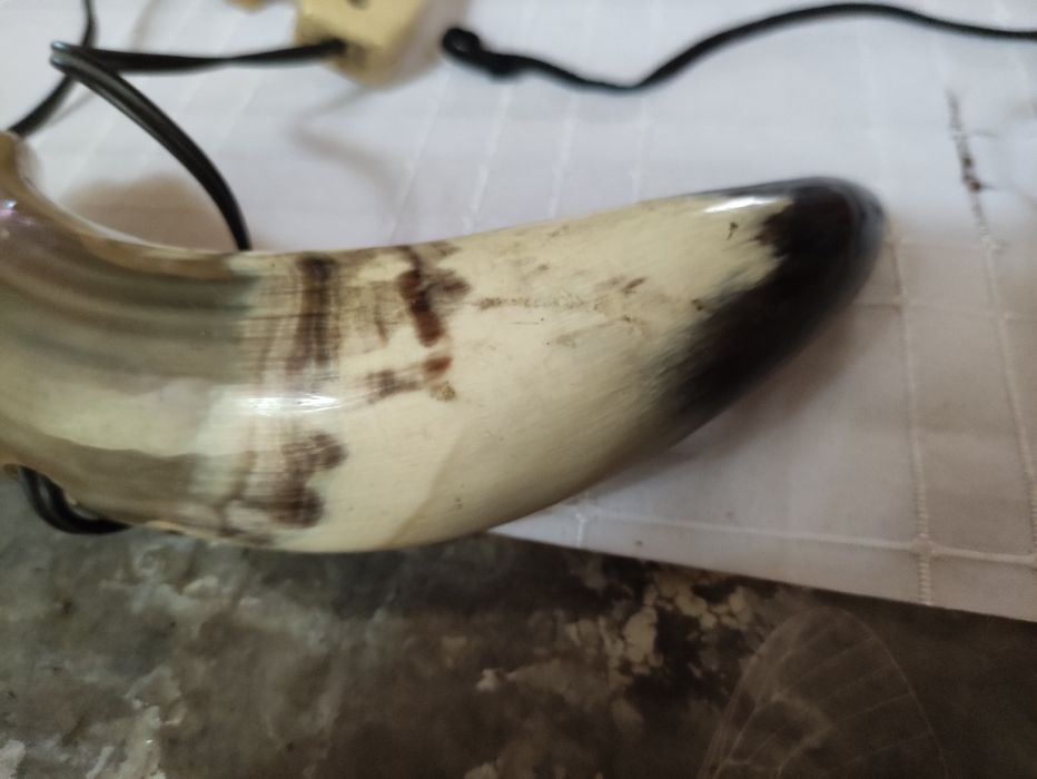 Lampka z rogu bawołu