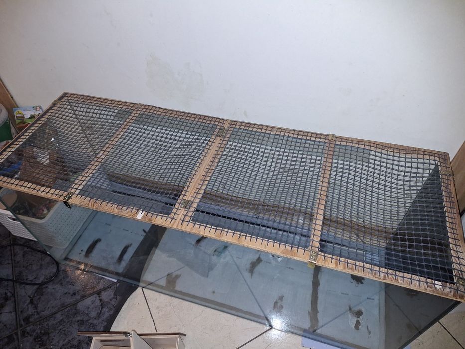 Akwarium duże 120x40x50cm dla gryzonia