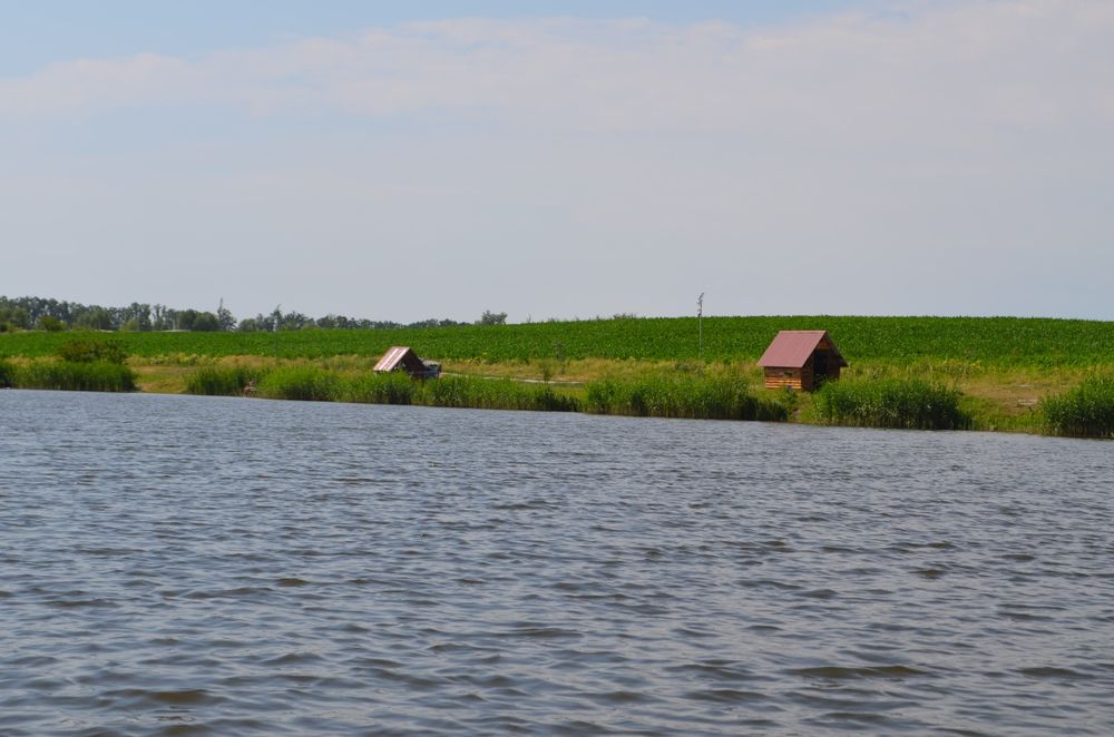 Рибалка / риболовля