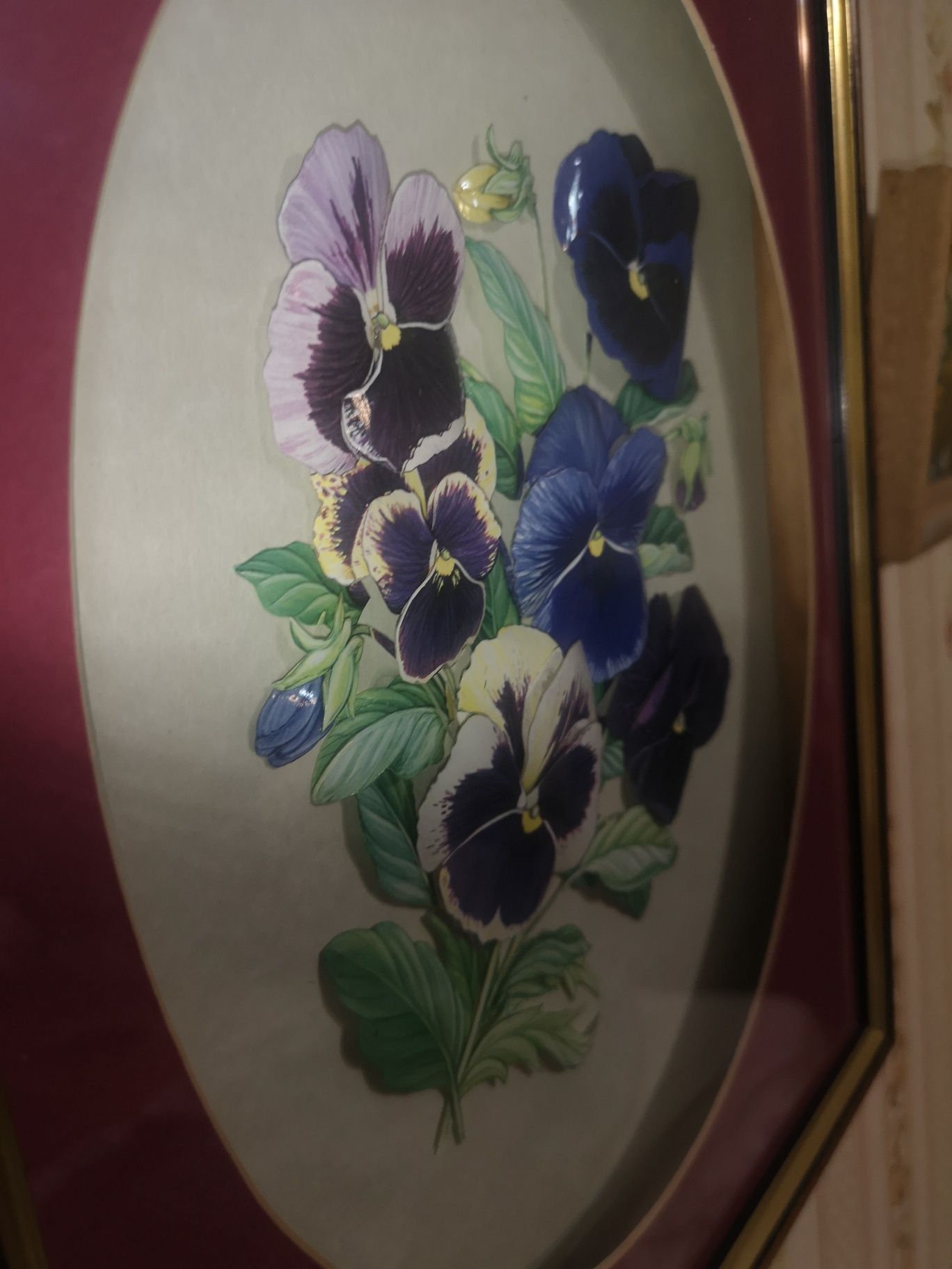 Obraz kwiaty bratki oszklony43x36  3D