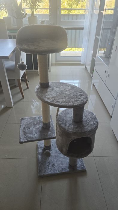 Nowy drapak dla kota