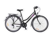 Rower Trekking Storm Runner 28 - ACTIVE ZONE Bike World