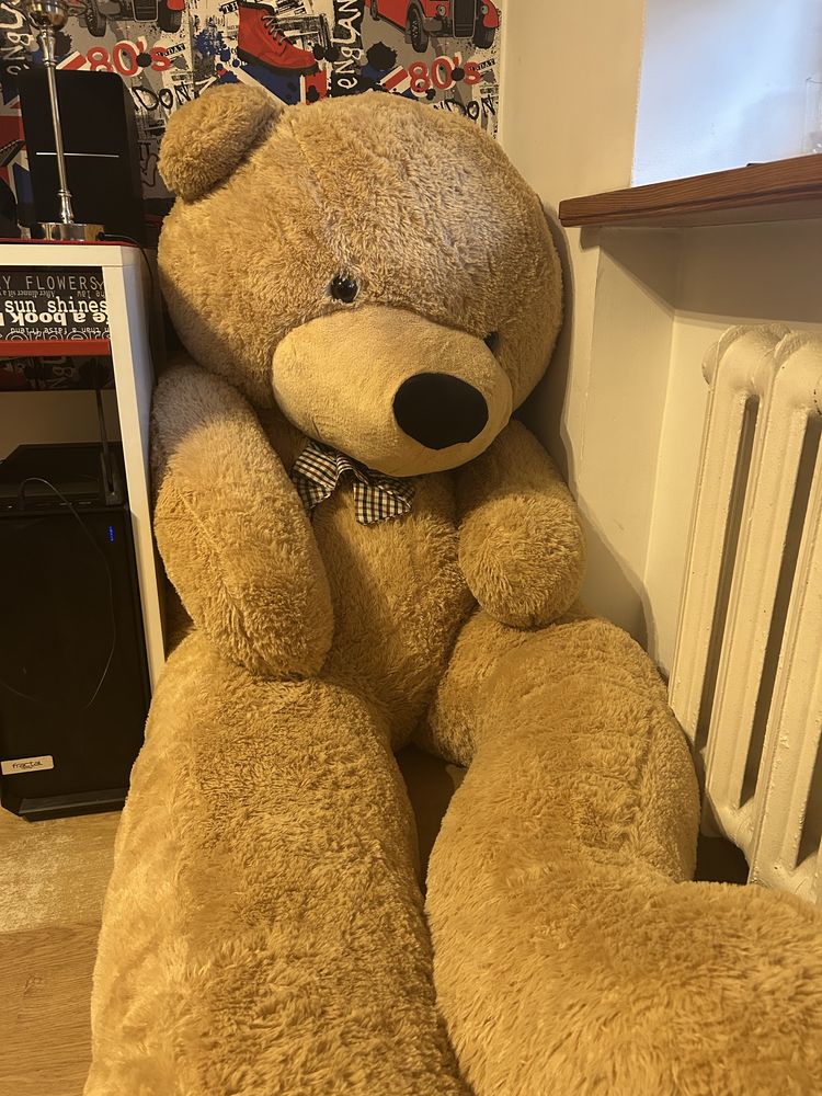 Miś gustaw 250 cm