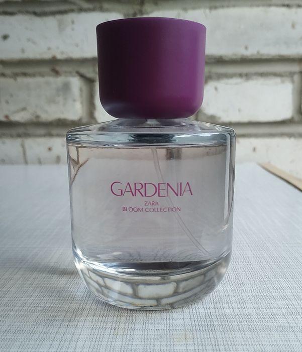 Gardenia bloom collection, Zara