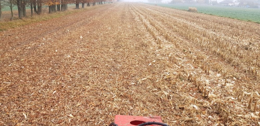 Mulczowanie, głeboszowanie