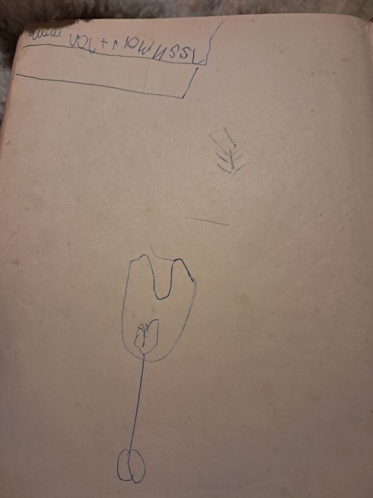 Tryumf Pana Kleksa 1956r