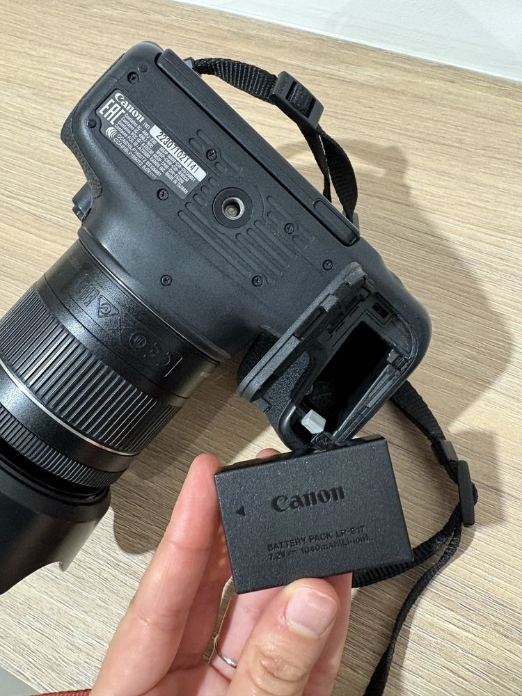 Canon EOS 800D + 3 Objetivas + Bolsas + Parasol