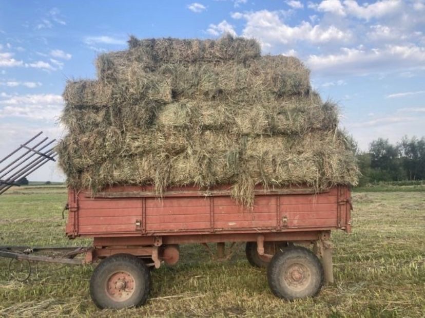 Продам тюки сіна