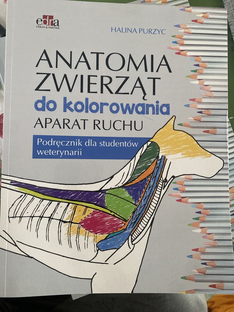 Anatomia zwierzat do kolorowania aparat ruchu