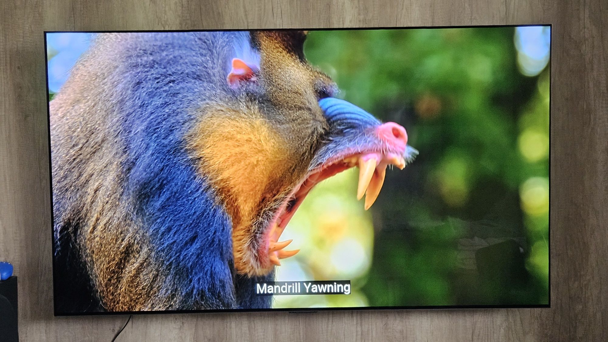 Telewizor LG OLED 65" C21 gwarancja
