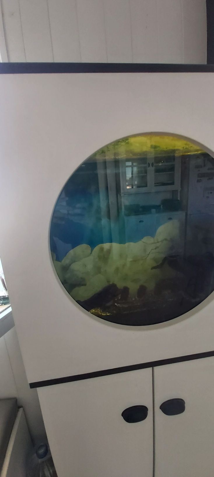 Aquario com móvel