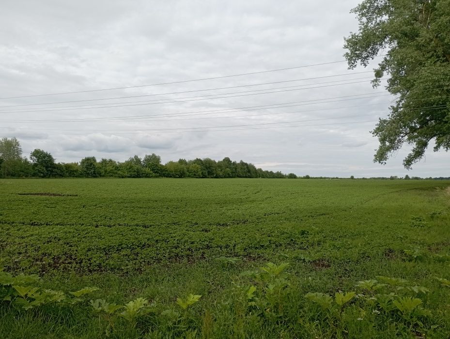 Земельна ділянка під будівництво