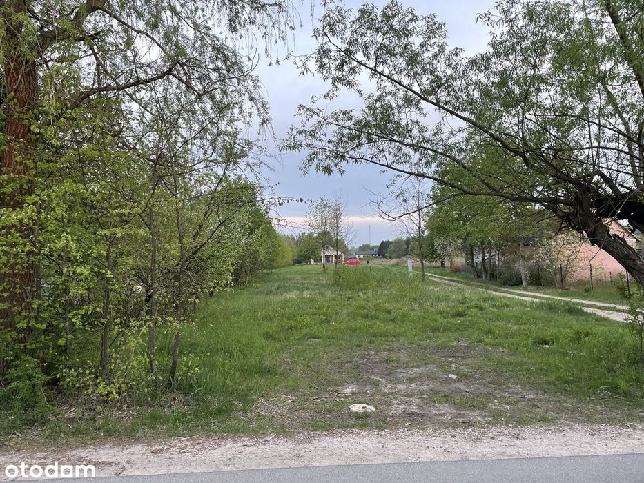 Działka Budowlana 860 m² | Media | Mpzp | Las | Halinów | Krzewina