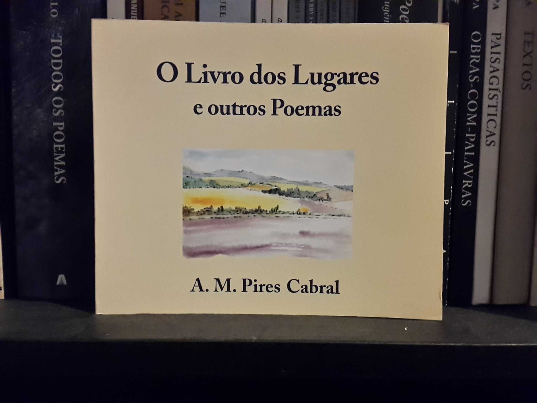 A. M. Pires Cabral - O Livro dos Lugares e Outros Poemas (1.ª edição)