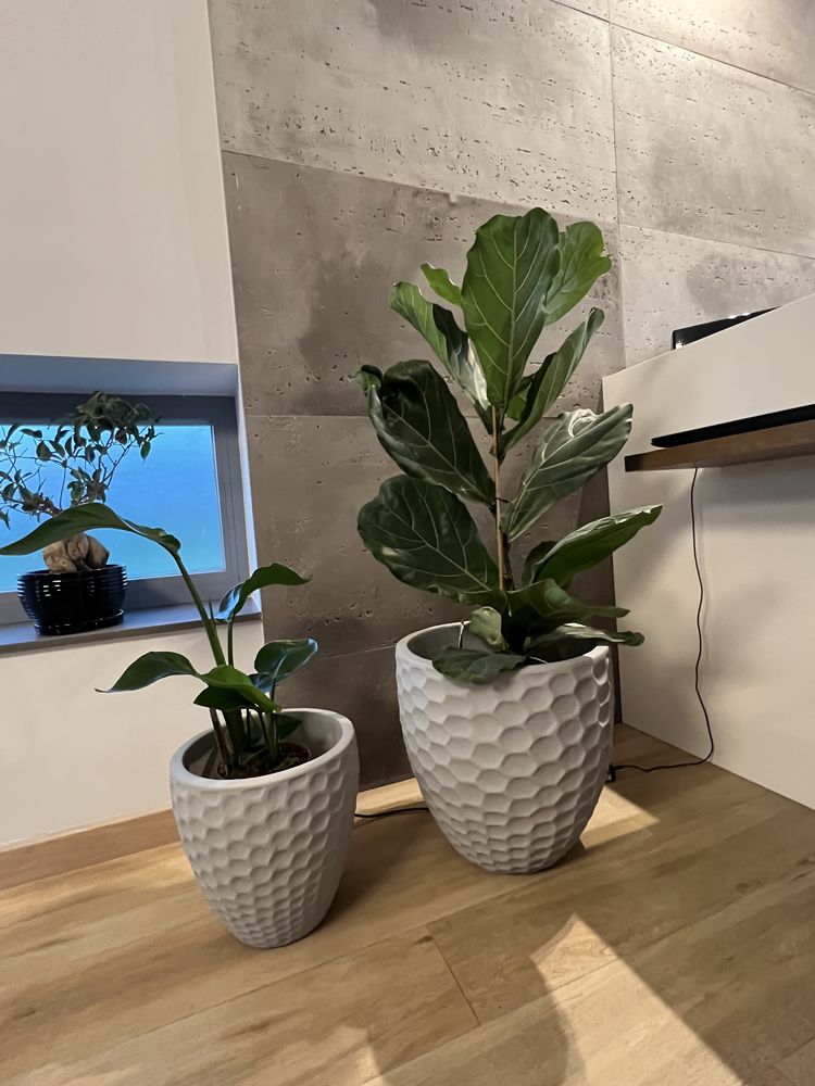 Donica terrakota plaster miodu duża i mniejsza 2 sztuki