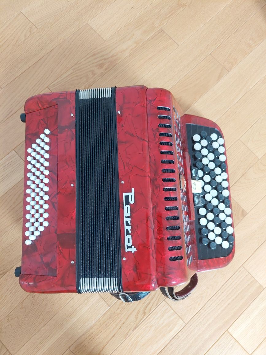 Akordeon Parrot 60 basów