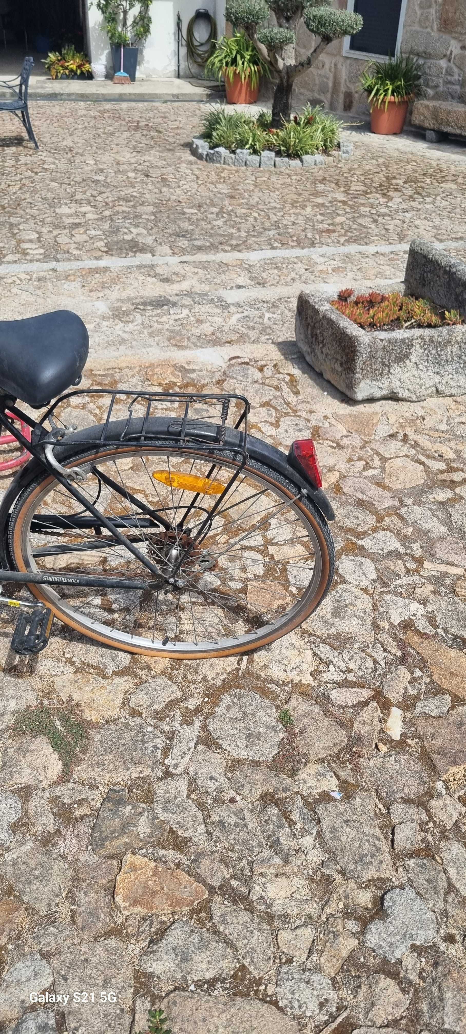 Bicicleta  pasteleira