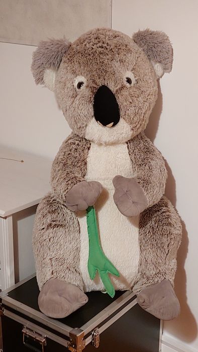 Peluche coala gigante