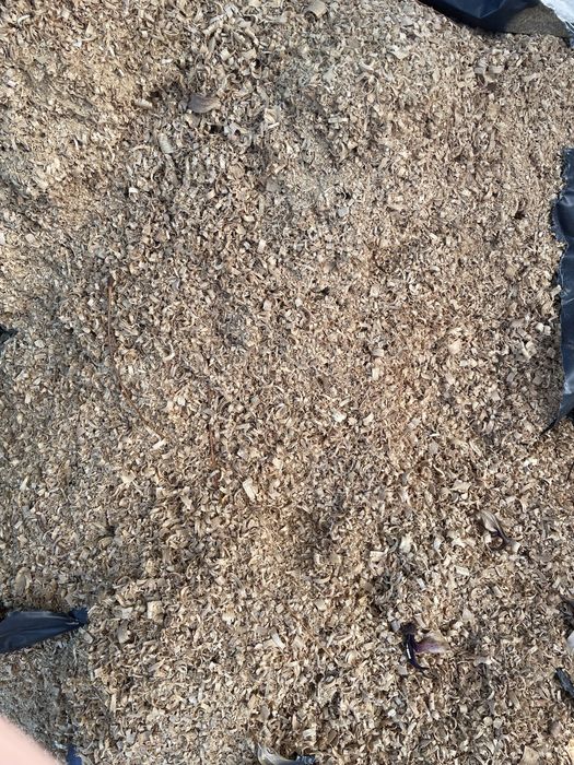 Camas para animais, serradura