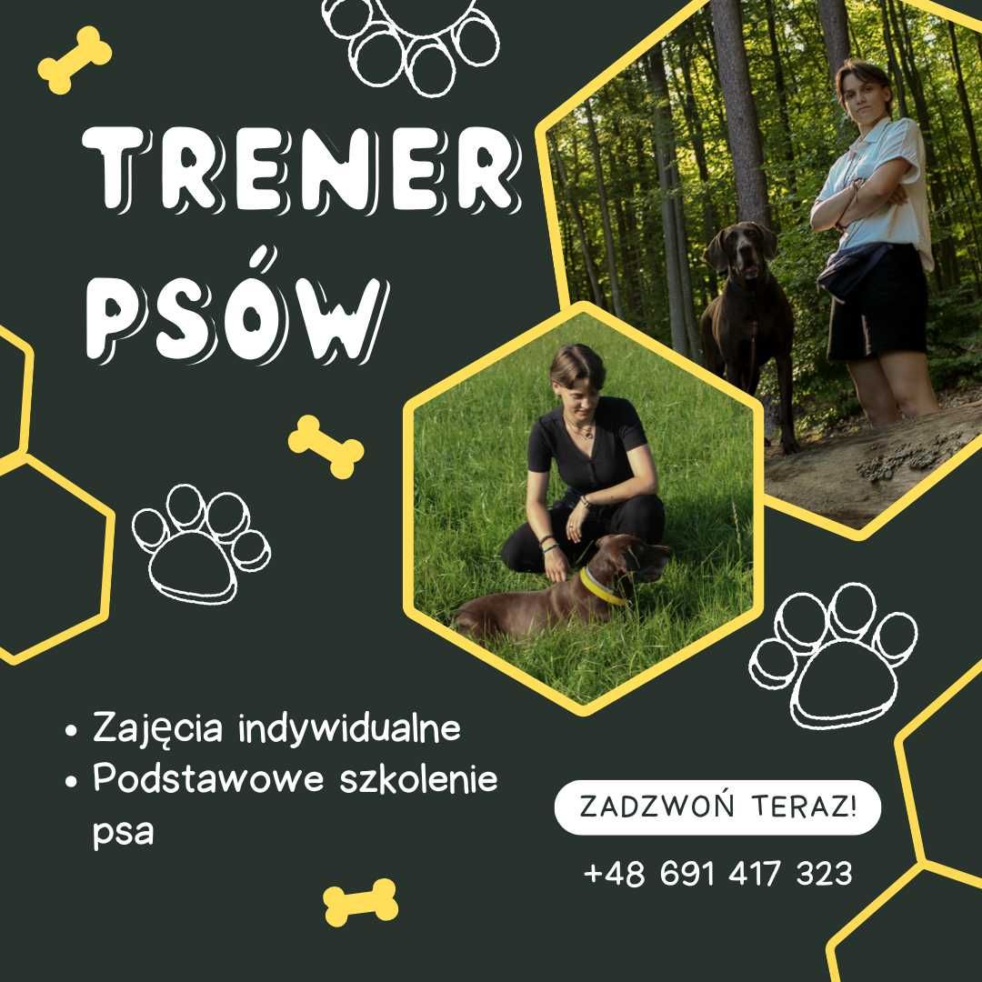 Trener Psów - Konsultacje, Szkolenie psów - Wejherowo, Rumia, Luzino