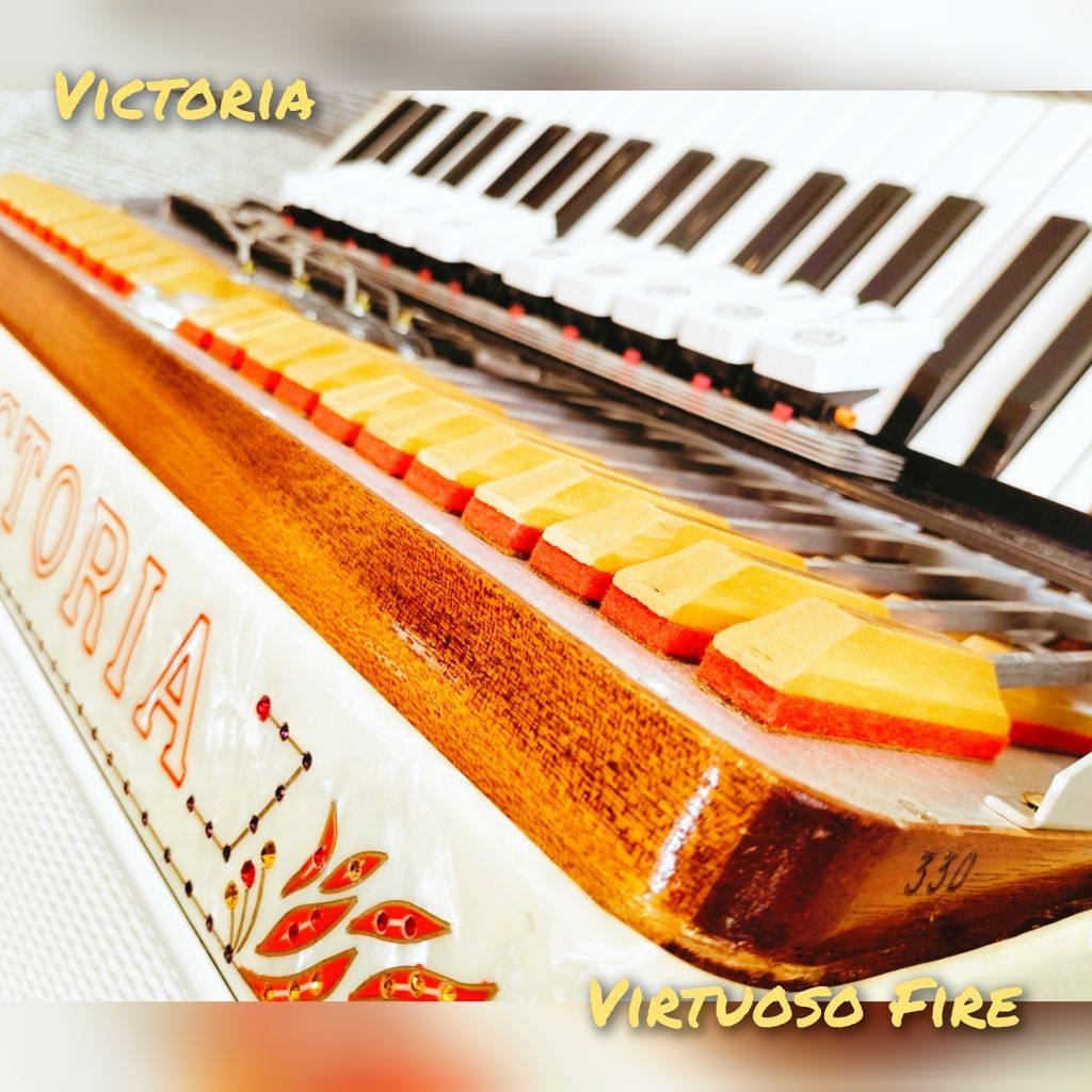 Acordeão/ Acordeon